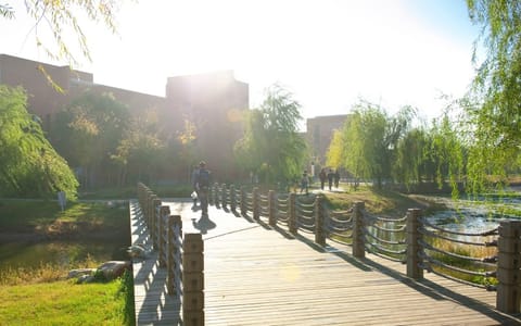 沈阳工业大学·风光5