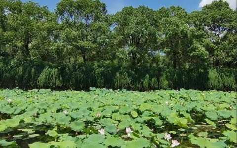 湖北第二师范学院·校园风光