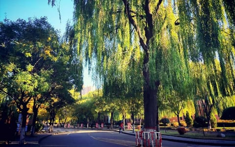 山西大学·山大垂青