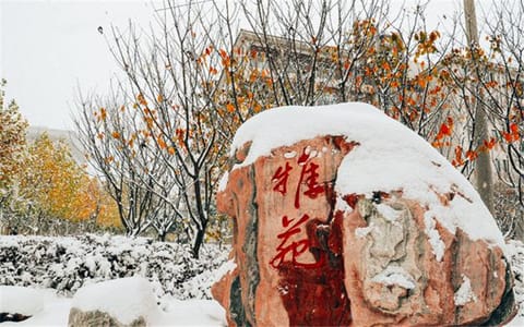 河南财经政法大学·校园雪景