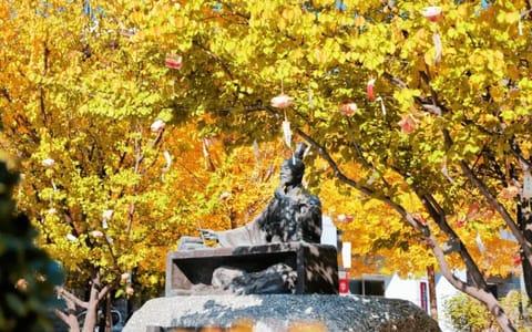 山西中医药大学·校园风光