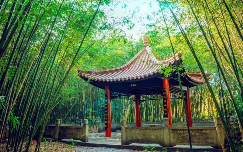 浙江广厦建设职业技术大学主图·校园风光
