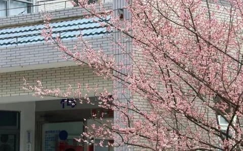 江南大学·校园风光