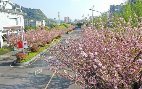 黔南民族师范学院·校园风光