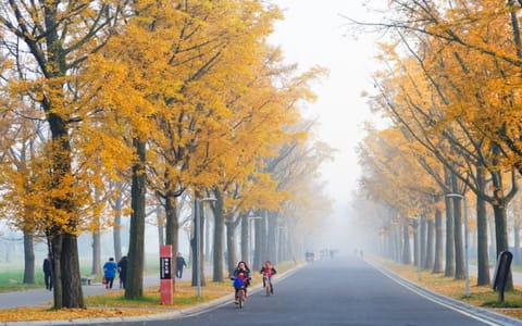 电子科技大学·电子科技大学2