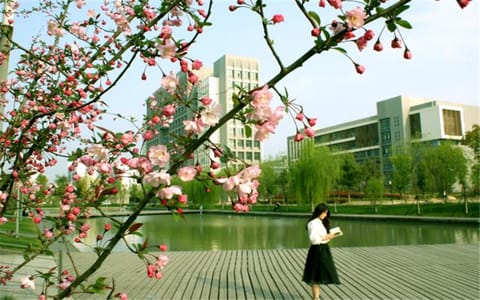 合肥大学·校园风光
