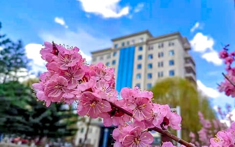 长春光华学院·校园风光