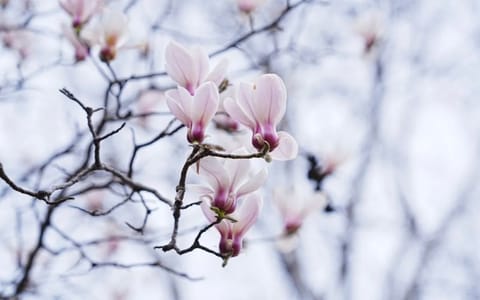 南京师范大学泰州学院·校园风光