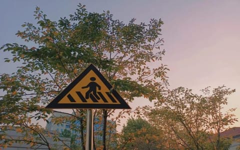 武汉理工大学·图片1