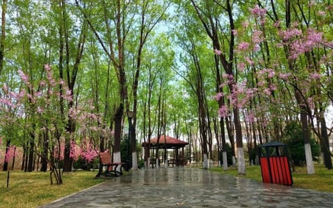 兰州财经大学·幽径