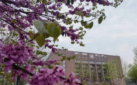 西安邮电大学·校园风光