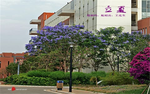 昆明医科大学·立夏