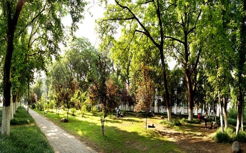 安徽农业大学·校园风景8