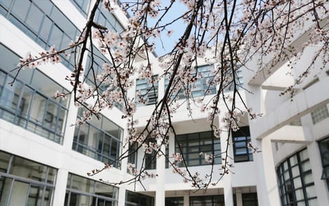 东华大学·校园风光6