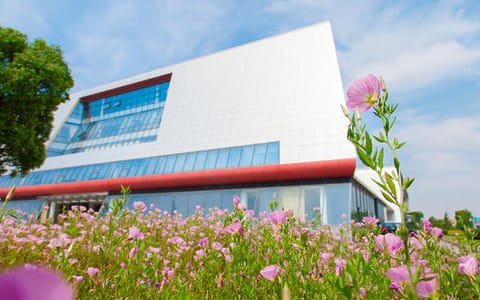 上海视觉艺术学院·春花烂漫