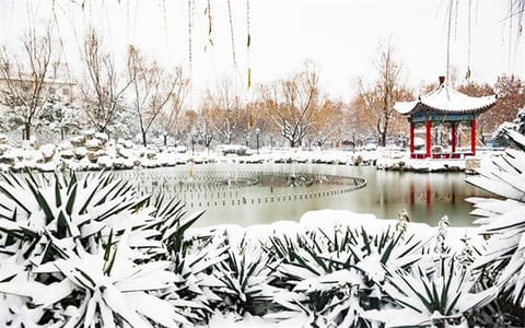 西安思源学院·冬景思源