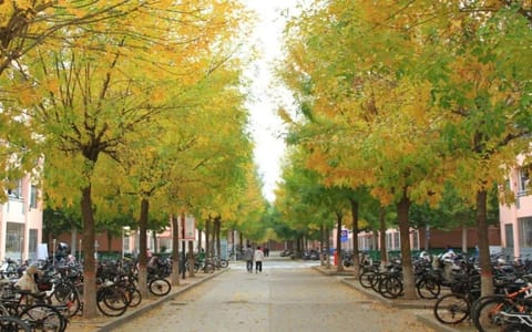 菏泽学院·校园风光