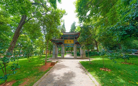 云南大学·校园风光5