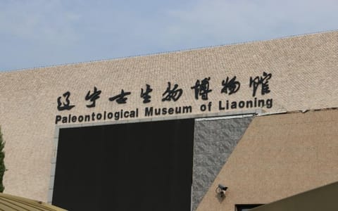 沈阳师范大学·校园风光