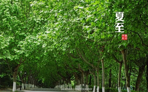 西南科技大学·校园风光7