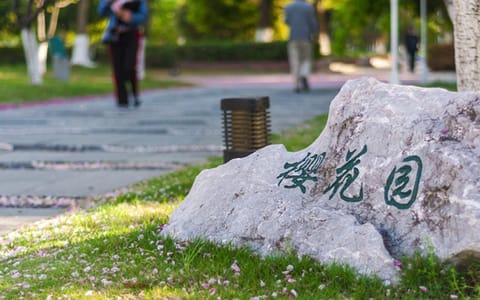 浙江水利水电学院·樱花园