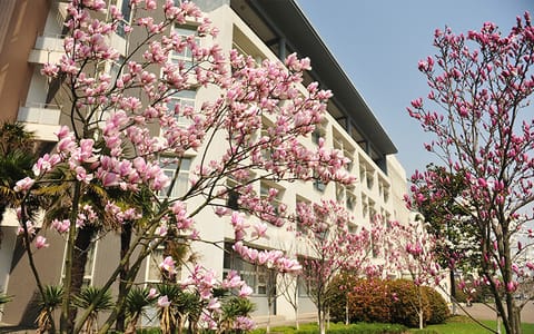 东华大学·校园风光1