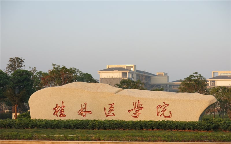 桂林医科大学主图·校名石