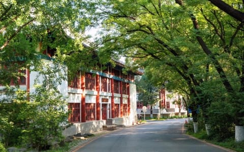 北京大学·校园风光