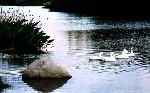 上海海关学院·校园风光