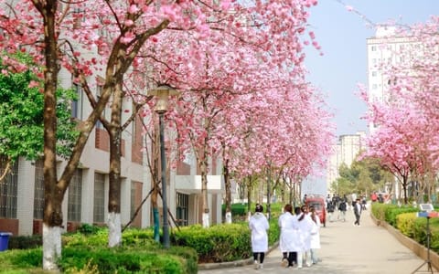 昆明医科大学海源学院·校园风光