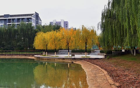 河北师范大学·校园风光20