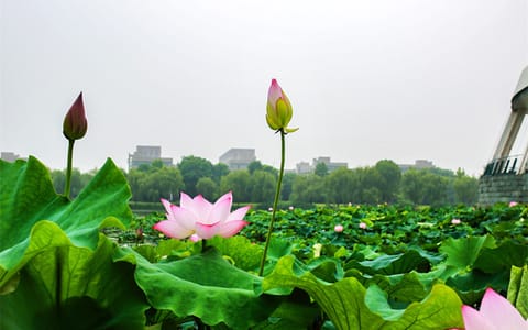 浙江大学·浙江大学