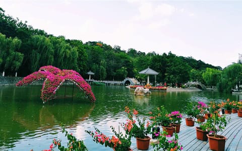 攀枝花学院·校园风景8