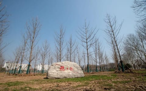 南京信息工程大学·院士林