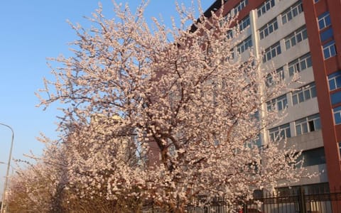 长春理工大学·春