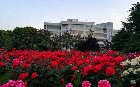 南阳理工学院·花团锦簇