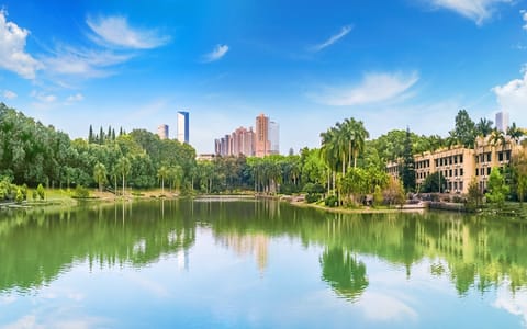 深圳大学·文山湖