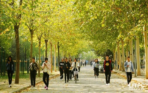 洛阳理工学院·秋景2