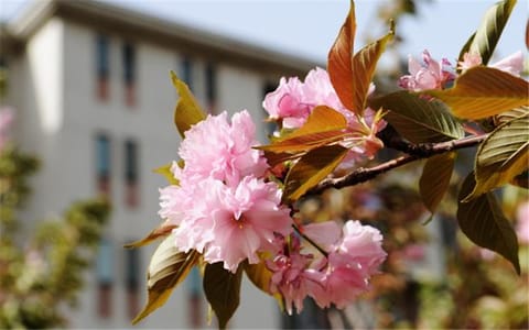 河南财经政法大学·校园风光4