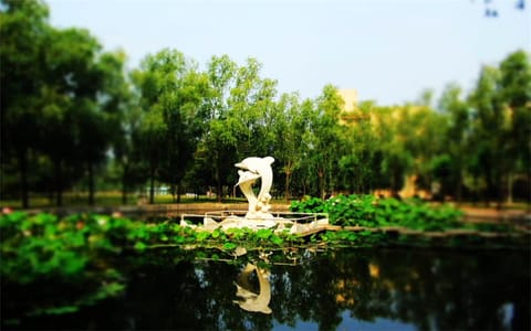 中原工学院·海豚湾