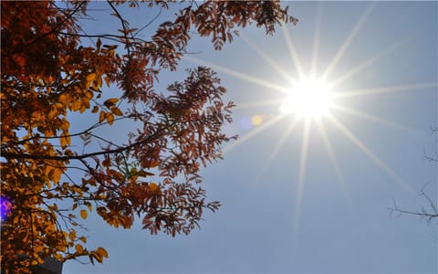 青岛农业大学海都学院·秋日阳光