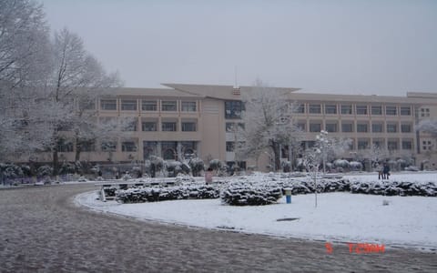 黑龙江大学·校园风光8