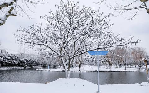 上海对外经贸大学·冬1