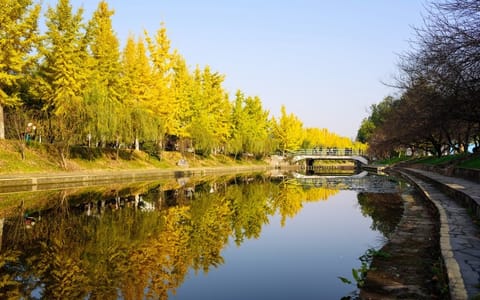 三峡大学·校园风光6