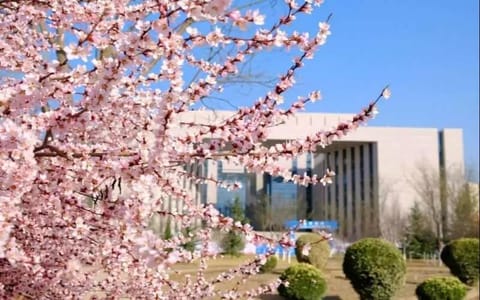 兰州理工大学·花