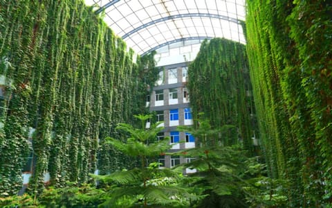 长春大学旅游学院·校园风光11