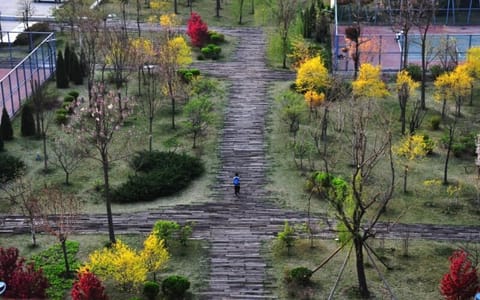 天津美术学院·绿地