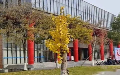 南京中医药大学·校园风光