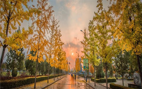 陇东学院·校园秋景