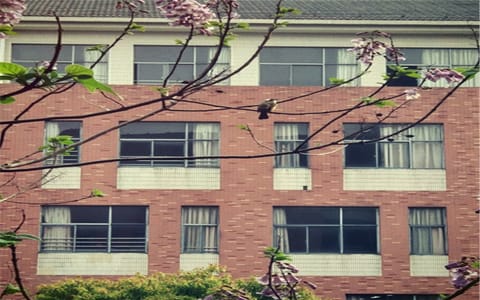 皖江工学院·校园风光